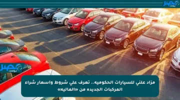 مزاد علني للسيارات الحكومية.. تعرف على شروط وأسعار شراء المركبات الجديدة من «المالية»